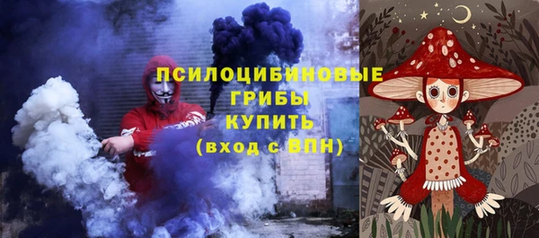 кокс Няндома