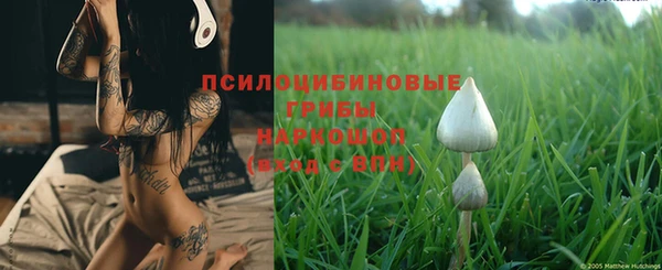 прущие грибы Остров