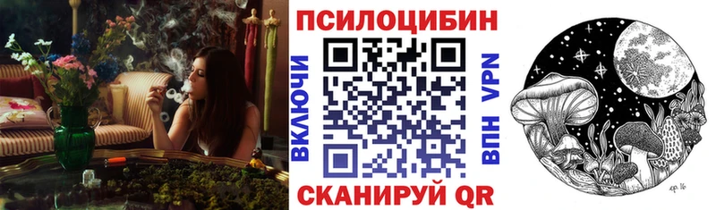 Галлюциногенные грибы Psilocybe  omg как зайти  Тетюши  дарк нет Telegram  купить  цена 